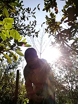 dinnavi online show from November 25, 2025, 1:49 am