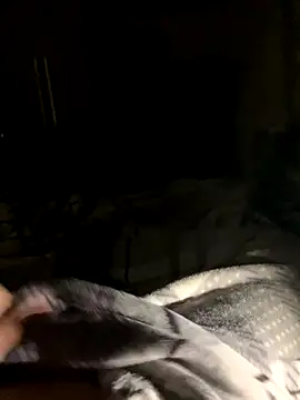 bfelipedasilva online show from October 23, 2025, 11:57 pm