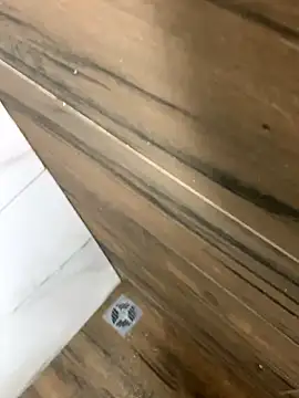 bfelipedasilva online show from October 25, 2025, 3:25 am