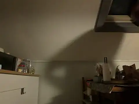 davi73d online show from December 14, 2025, 3:01 am