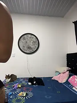 Hot2gether69 online show from November 11, 2025, 3:01 pm