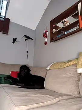 mattiethebaddieee online show from November 30, 2025, 8:35 pm