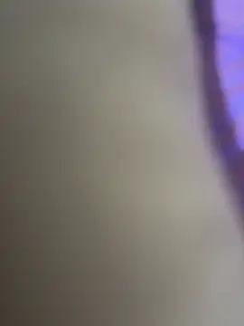 WildNour online show from April 20, 2026, 12:13 am