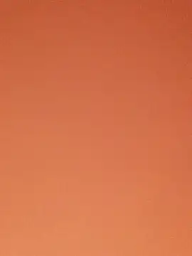 SiennaBite online show from November 26, 2025, 12:44 am