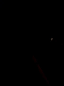 bella-la online show from January 15, 2026, 10:57 pm