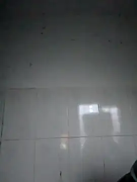 bella-la online show from February 5, 2026, 12:04 am