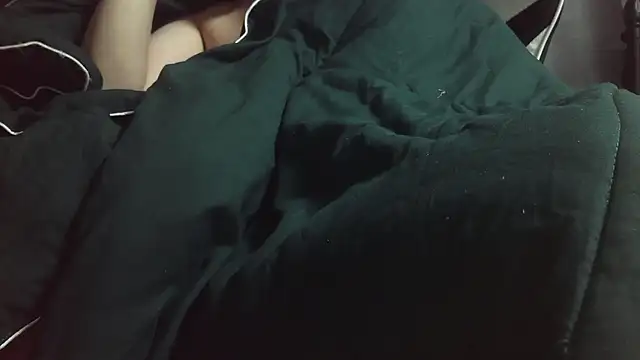 Stripholyday online show from November 14, 2025, 2:49 pm