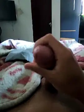 secretnovin7 online show from April 12, 2026, 8:03 pm