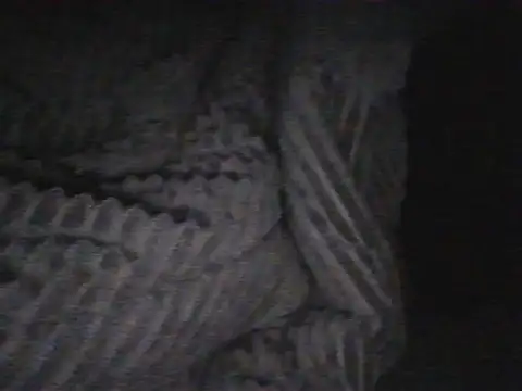 rannkyy online show from December 1, 2025, 7:52 pm