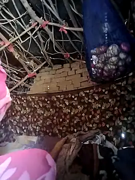 Jooli cuty online show from February 21, 2026, 4:13 am