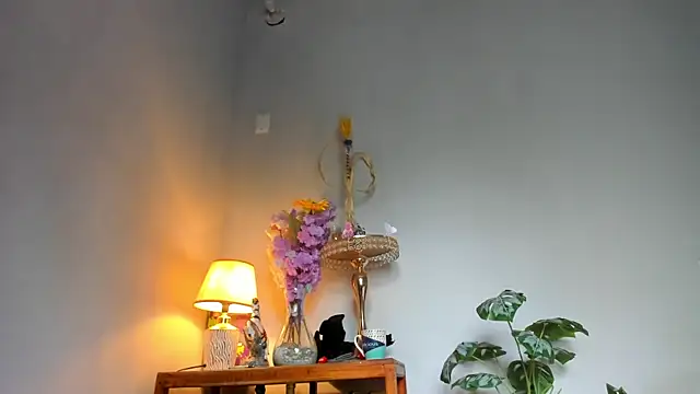 lucian davii online show from April 22, 2026, 2:18 pm