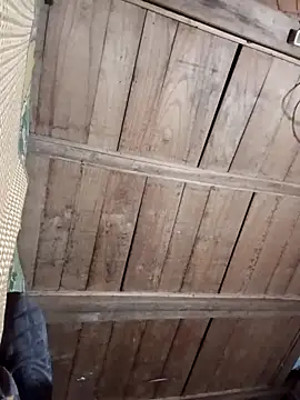 Bee-bgolden online show from November 27, 2025, 2:30 pm