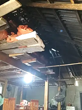 Snapshot of bibo-sex chatting on November 26, 2025, 5:41 am bibo-sex online show from November 26, 2025, 5:41 am