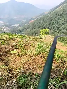 Lynly k2 online show from April 8, 2026, 7:19 am