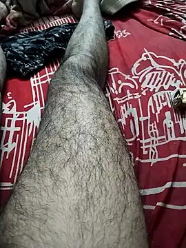 hyderabad single online show from November 29, 2025, 11:57 am