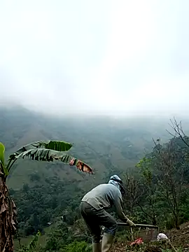 blonde blg online show from April 24, 2026, 2:36 am