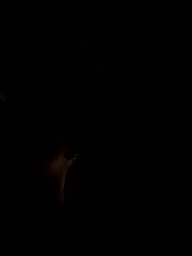 RonnySlim online show from January 6, 2026, 3:49 pm