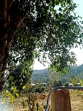 -Chua-90 online show from February 20, 2026, 8:05 am