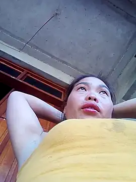 chim-yen online show from November 26, 2025, 7:31 am