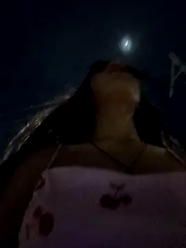 Snapshot of Pretty-v chatting on November 30, 2025, 12:47 am Pretty-v online show from November 30, 2025, 12:47 am