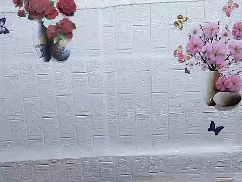 Site-loe online show from February 14, 2026, 1:13 am