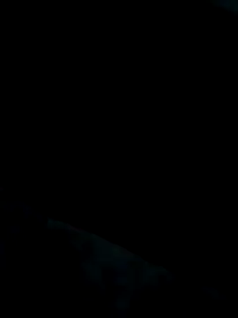 Heterobusca online show from November 20, 2025, 7:52 am