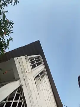 zyrastorm online show from November 30, 2025, 10:58 pm