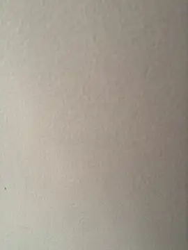 CandyCol online show from November 25, 2025, 12:16 pm