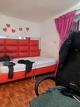 Scarlet curly online show from November 24, 2025, 9:09 am