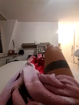 mi vitor online show from November 26, 2025, 12:33 am