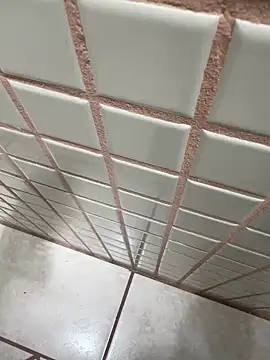 Snapshot of fernandesisa chatting on December 4, 2025, 4:27 pm fernandesisa online show from December 4, 2025, 4:27 pm