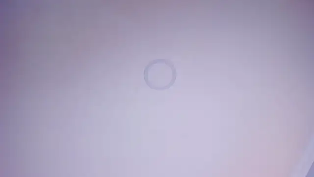 Charlotte Williams 1 online show from November 27, 2025, 12:51 pm