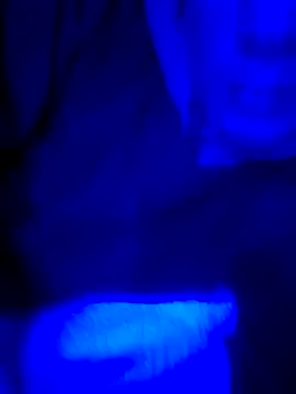 FrappedLocking online show from May 22, 2026, 8:42 am