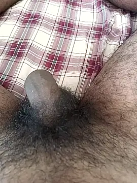 tamilbbc1 online show from November 26, 2025, 5:52 am