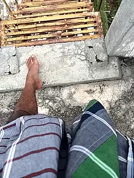 tamilbbc1 online show from November 28, 2025, 5:32 am