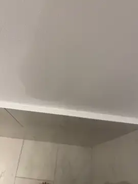 Maia0823 online show from November 21, 2025, 4:44 am