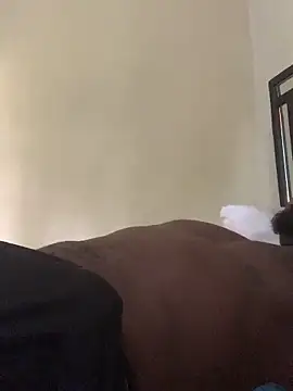 laperson online show from April 4, 2026, 11:40 am