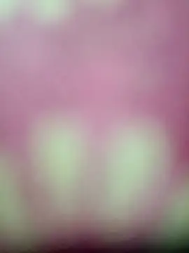 Nandani-758 online show from January 17, 2026, 4:11 pm