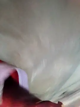 Minsexy66 online show from December 2, 2025, 3:23 am