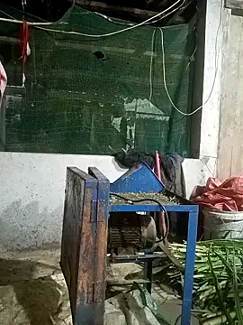 nangmo online show from March 12, 2026, 11:22 pm