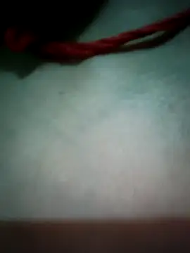 Snapshot of Punam_panjabi chatting on June 11, 2026, 3:10 pm Punam panjabi online show from June 11, 2026, 3:10 pm