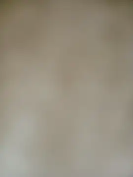 Rocky 0890 online show from November 24, 2025, 9:36 pm