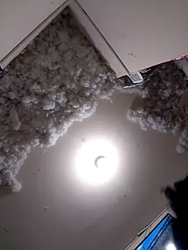 4ikoou37 online show from November 26, 2025, 10:44 pm