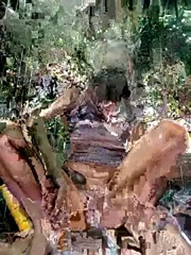 LoveDirty3x online show from December 3, 2025, 11:25 pm