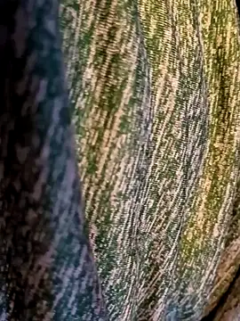 Bearclaw42069too online show from November 28, 2025, 7:16 pm