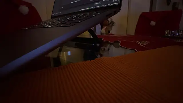 AndyLD20x6 online show from December 3, 2025, 11:14 pm