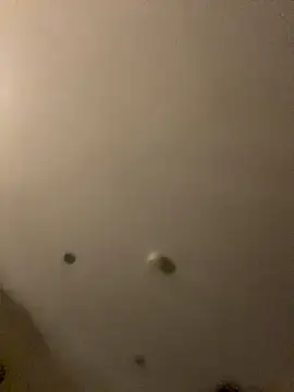 Gabriellabella13 online show from December 5, 2025, 3:20 pm