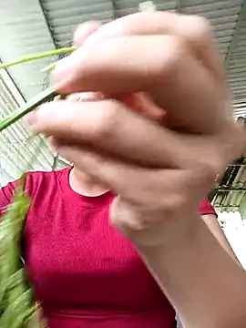 Pretty-haert online show from April 15, 2026, 2:51 am