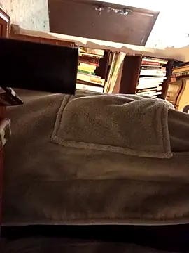 gatitachula93 online show from February 20, 2026, 11:05 pm