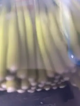 Ghost-Zero online show from March 21, 2026, 11:59 am